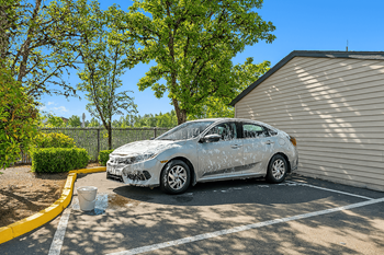 Dedicated space to wash your car